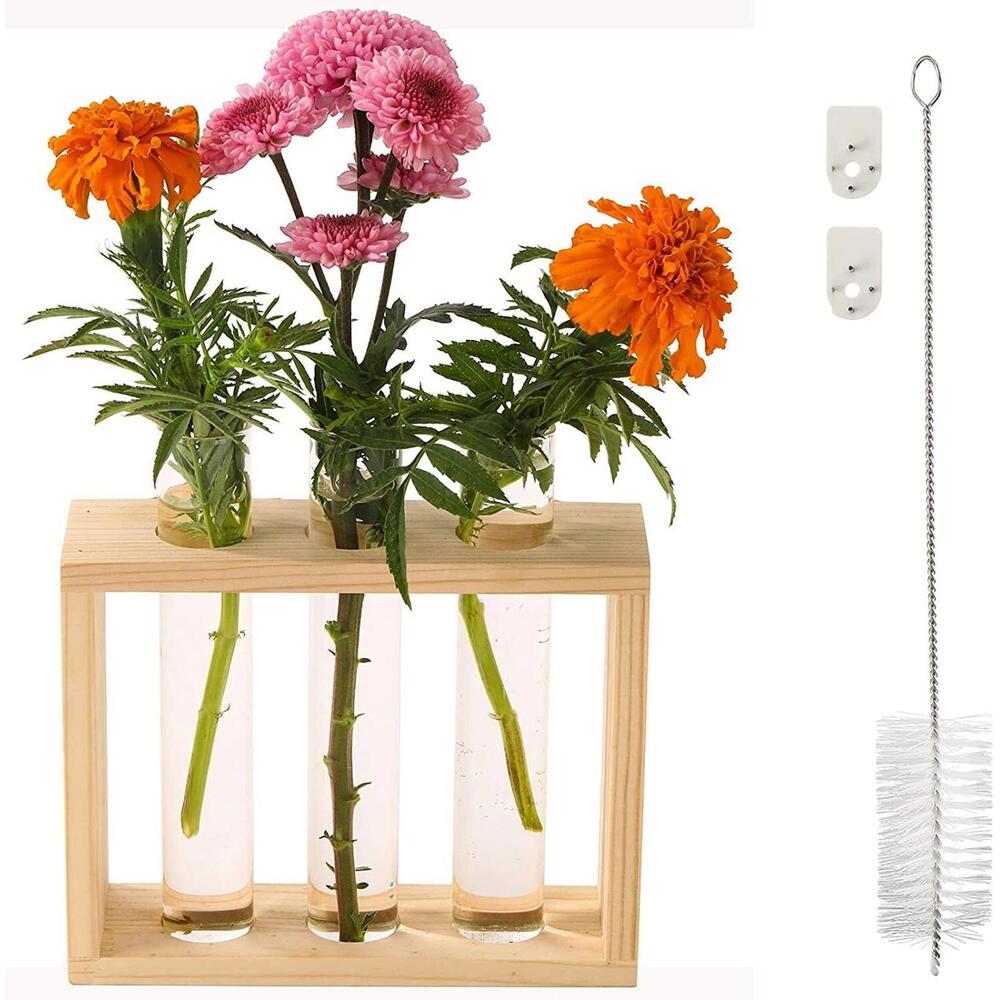 TOVAI Air Plant Propagation Tubes‎ Wall Mount - 3 Tubes
